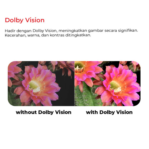 BNkVpdGe-dolby-vision-co-id POLYTRON 4K UHD Smart Google TV 65 Inch - PLD 65UG5059