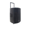 PAS-PRO15F2-FM-gambar-2 POLYTRON Professional Speaker Portable Bluetooth Karaoke 15 Inch PAS PRO15F3