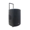 PAS-PRO15F3-1 POLYTRON Professional Speaker Portable Bluetooth Karaoke 15 Inch PAS PRO15F3