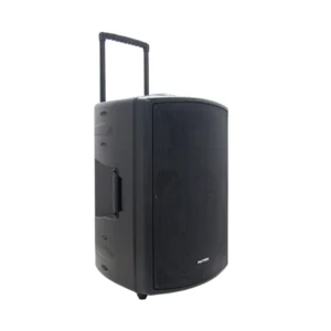 PAS-PRO15F3-1 POLYTRON Professional Speaker Portable Bluetooth Karaoke 15 Inch PAS PRO15F3