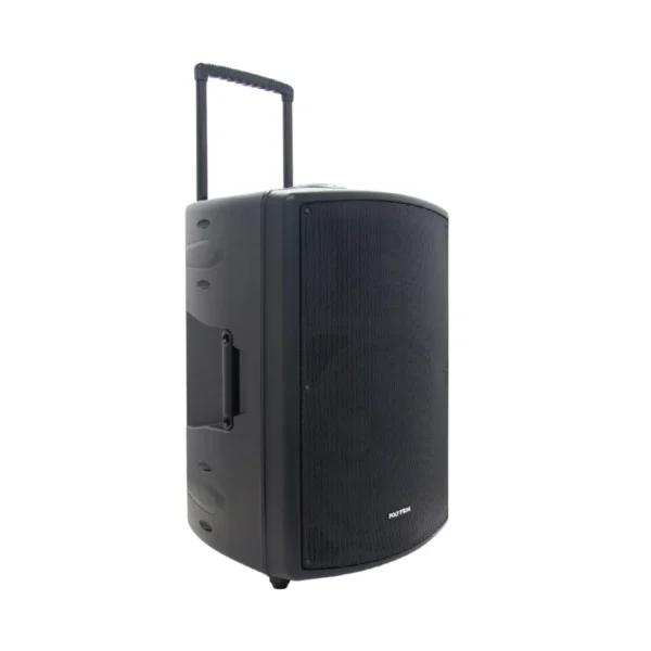 PAS-PRO15F3-1 POLYTRON Professional Speaker Portable Bluetooth Karaoke 15 Inch PAS PRO15F3